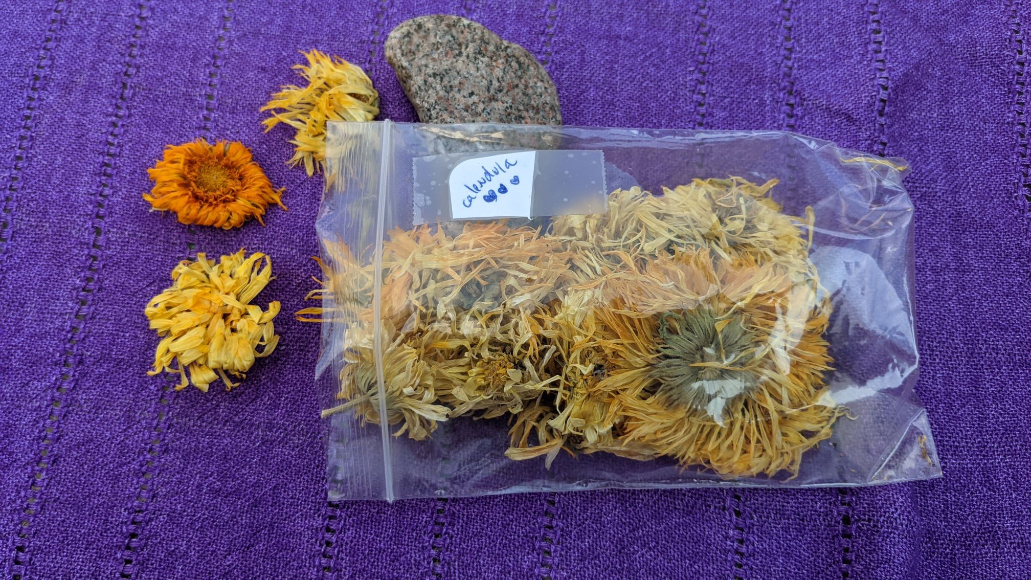 dried calendula flowers featured on a purple background