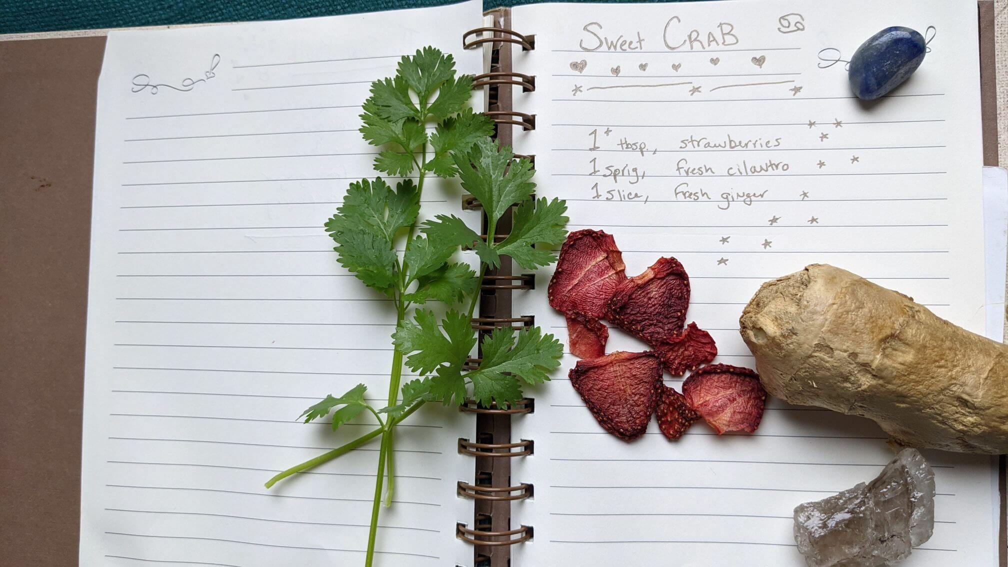 Handwritten recipe is shown with dehydrated strawberries, fresh cilantro and fresh ginger scattered on the page with gemstones.